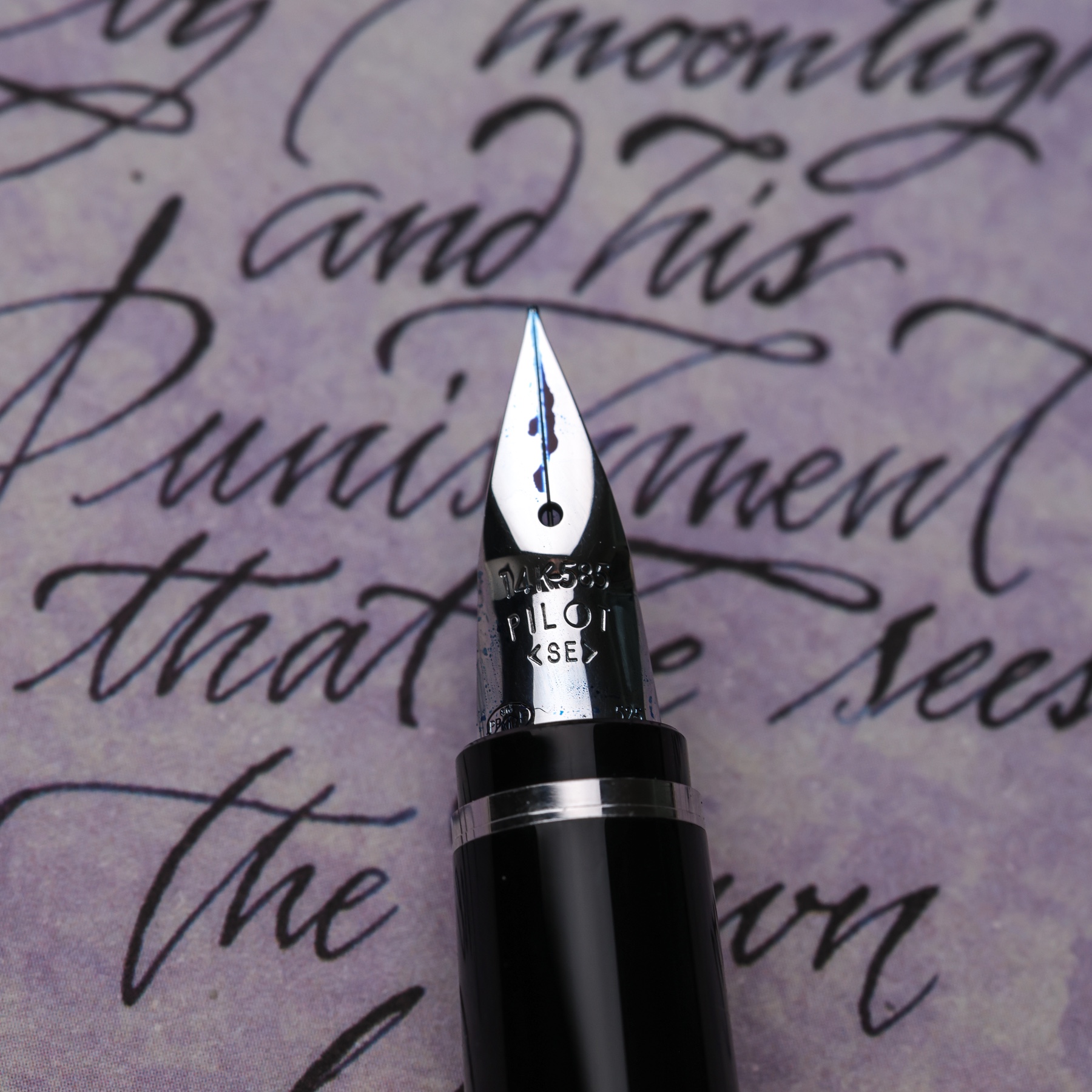 Macro photograph of the Pilot Falcon 14K Soft Extra Fine nib